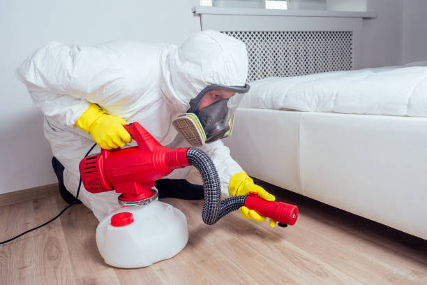 Flea Control Services in Chevy Chase View, MD