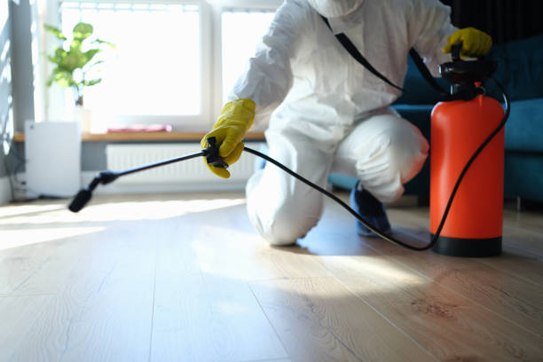 Best Termite Control Services  in Chevy Chase View, MD
