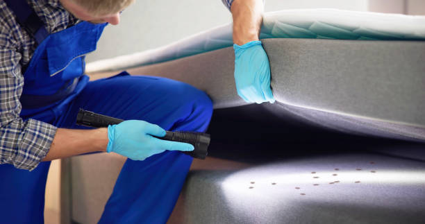 Best Bed Bug Extermination  in Chevy Chase View, MD