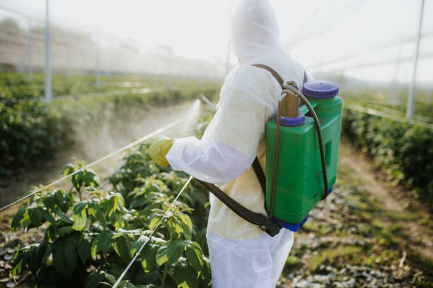 Best Pest Prevention Services  in Chevy Chase View, MD